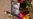 16x9 Image