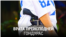 banner_goh7