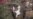 16x9 Image