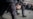 Четверых участников протестных акции в Москве обвинили в избиении полицейских и арестовали